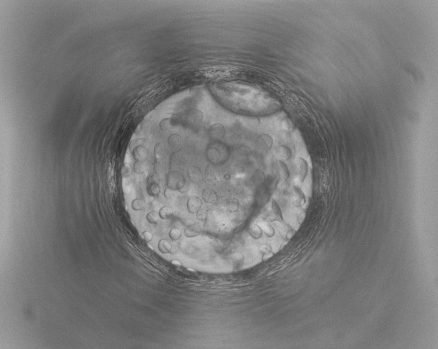 X0000116021106200912181143