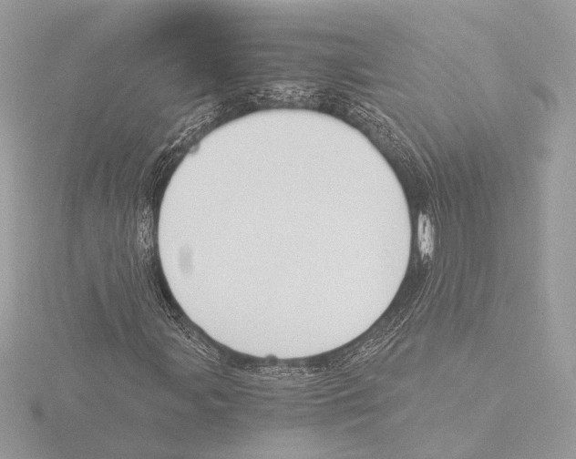 X0000116021107200912181143