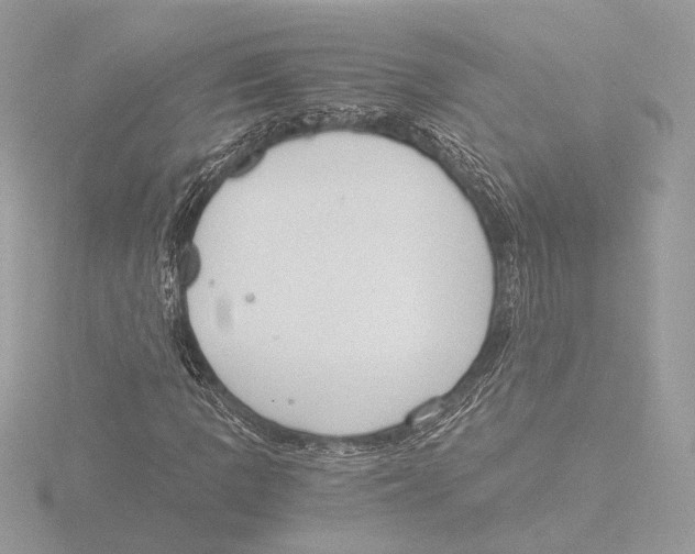 X0000116021109200912181143