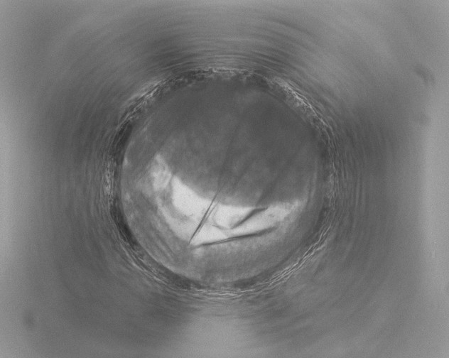 X0000116021110200912181143