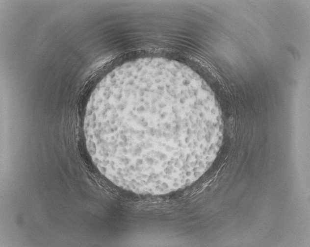 X0000116021111200912181143