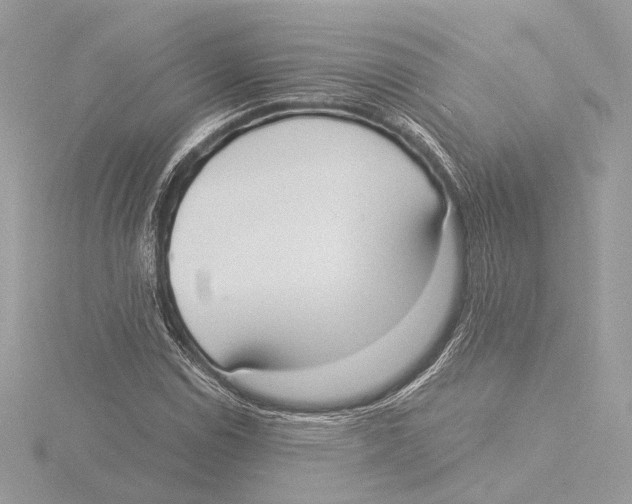 X0000116021114200912181144