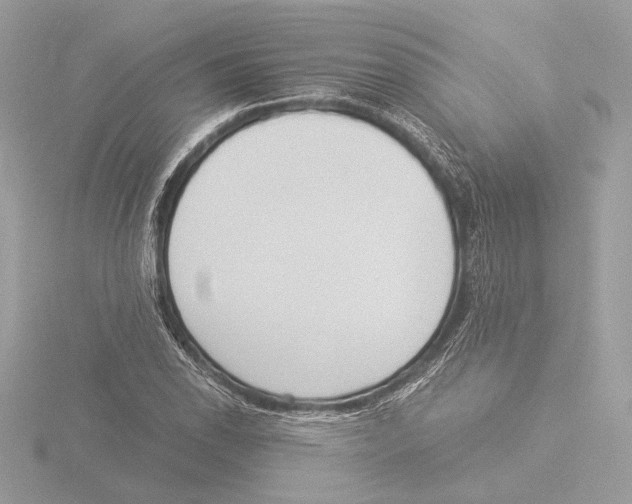 X0000116021118200912181144