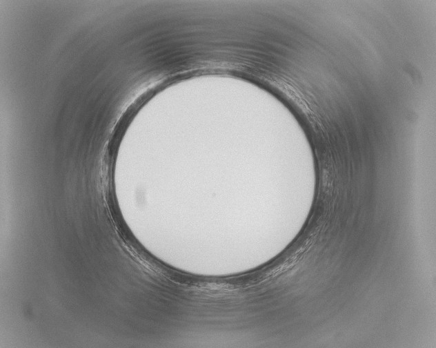 X0000116021119200912181144