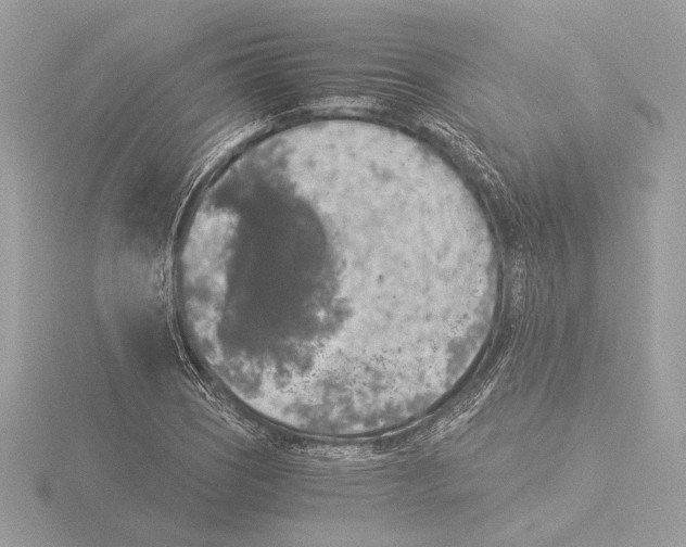 X0000116021121200912181144