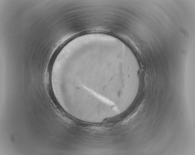 X0000116021125200912181144