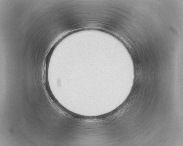 X0000116021126200912181144