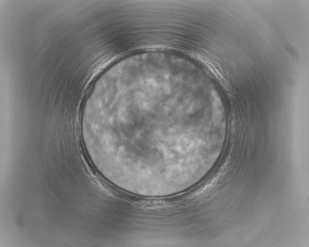 X0000116021129200912181144