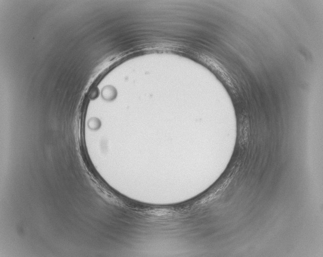 X0000116021130200912181144