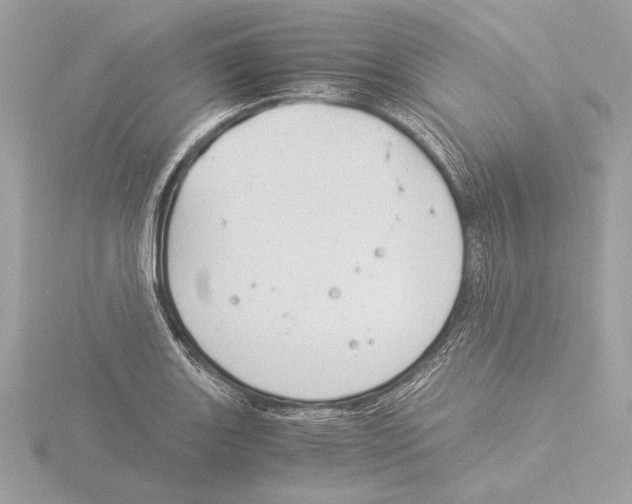 X0000116021131200912181144