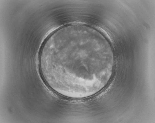 X0000116021133200912181144