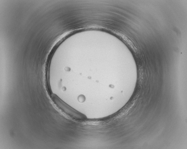 X0000116021134200912181144