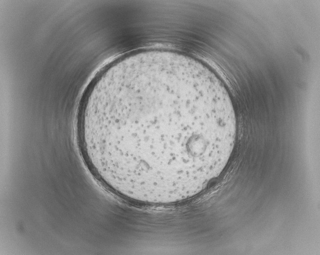 X0000116021139200912181144