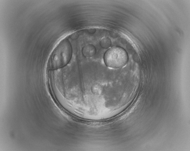 X0000116021141200912181144