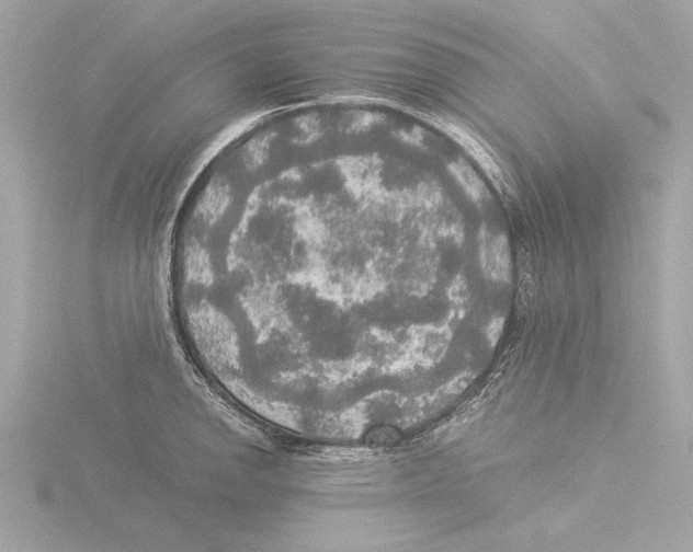 X0000116021142200912181144