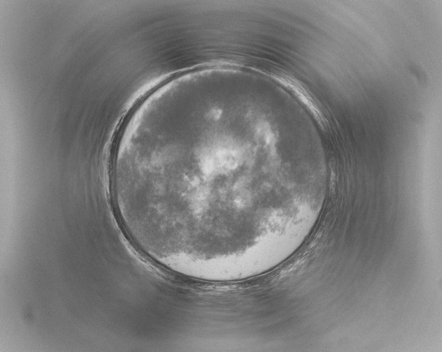 X0000116021143200912181144