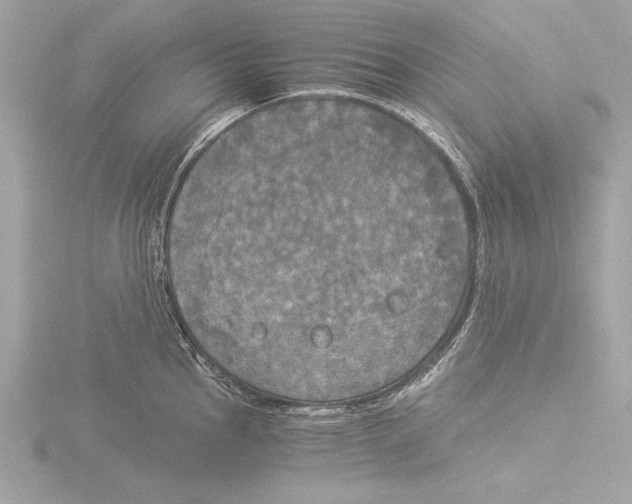 X0000116021145200912181144