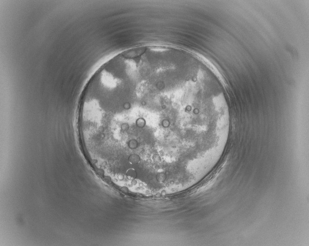 X0000116021149200912181144