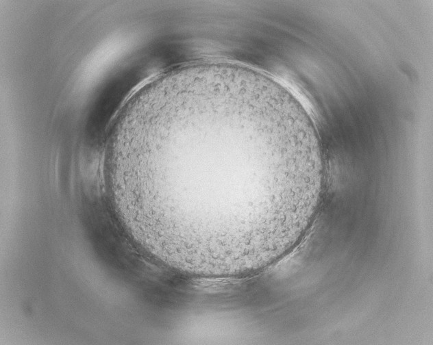 X0000116021150200912181144