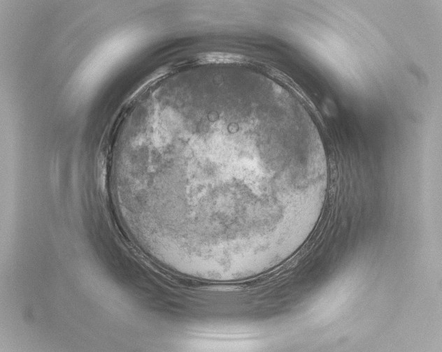 X0000116021151200912181144