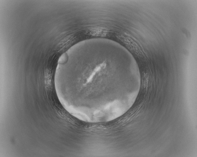 X0000116021154200912181143