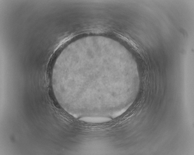 X0000116021160200912181143