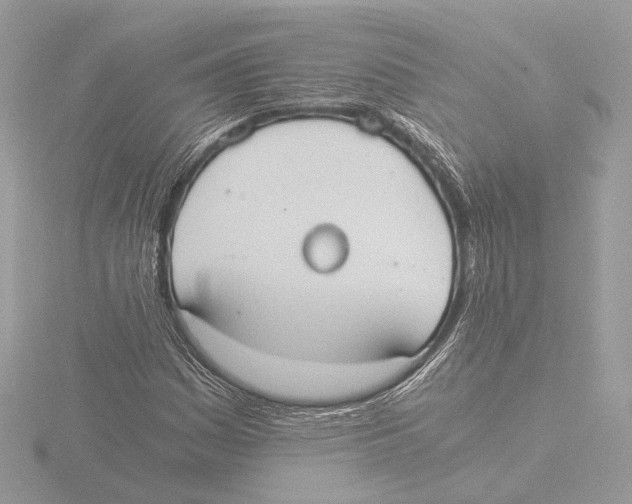 X0000116021161200912181143