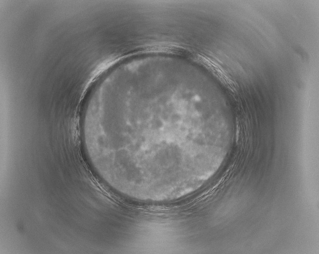 X0000116021164200912181143