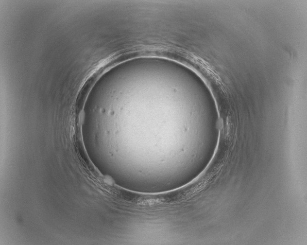 X0000116021165200912181143