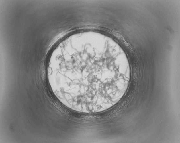 X0000116021167200912181143