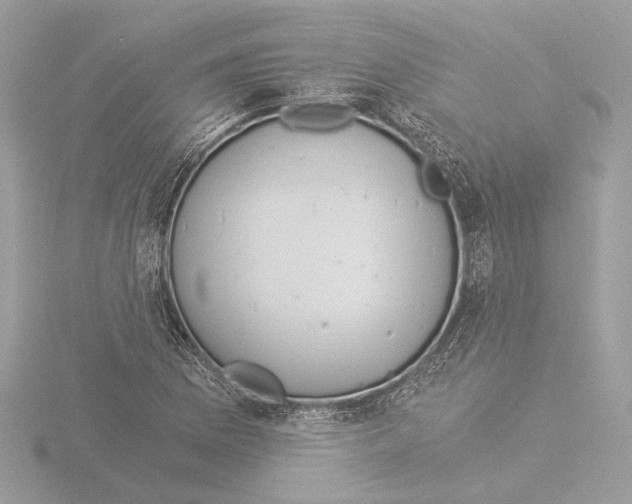 X0000116021169200912181143