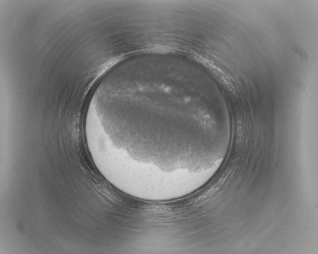 X0000116021170200912181143