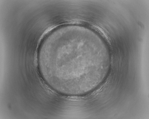 X0000116021172200912181143