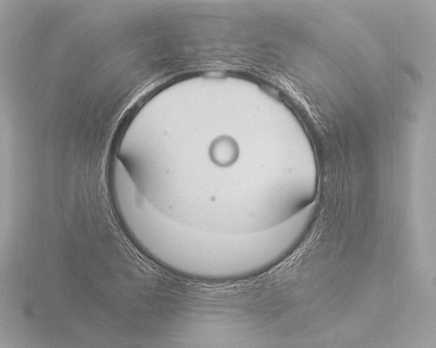 X0000116021173200912181143