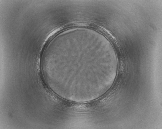 X0000116021174200912181143