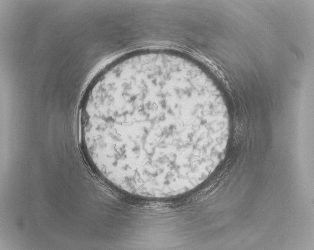 X0000116021175200912181143