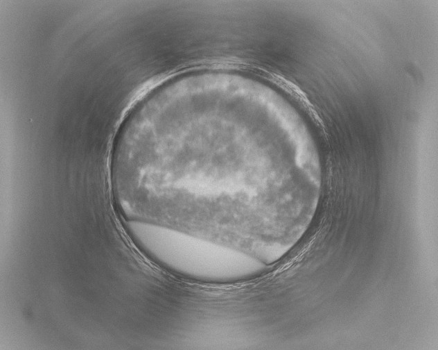 X0000116021176200912181143