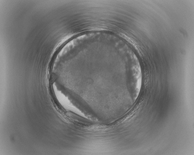 X0000116021179200912181143