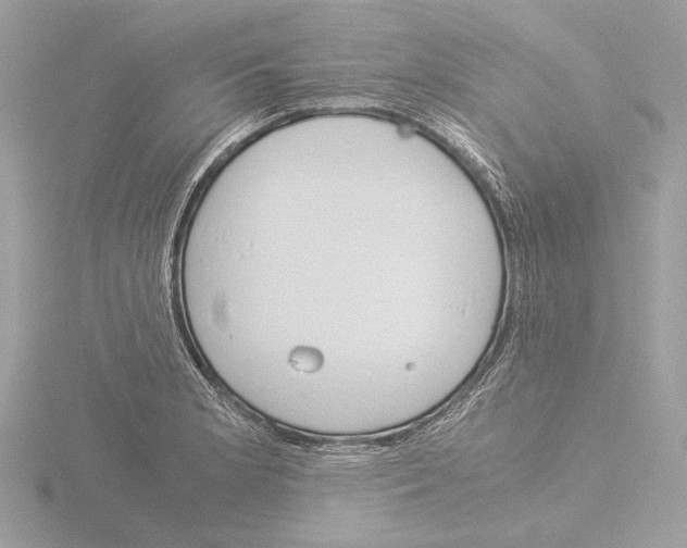 X0000116021181200912181143