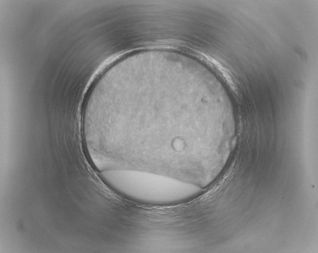 X0000116021184200912181143