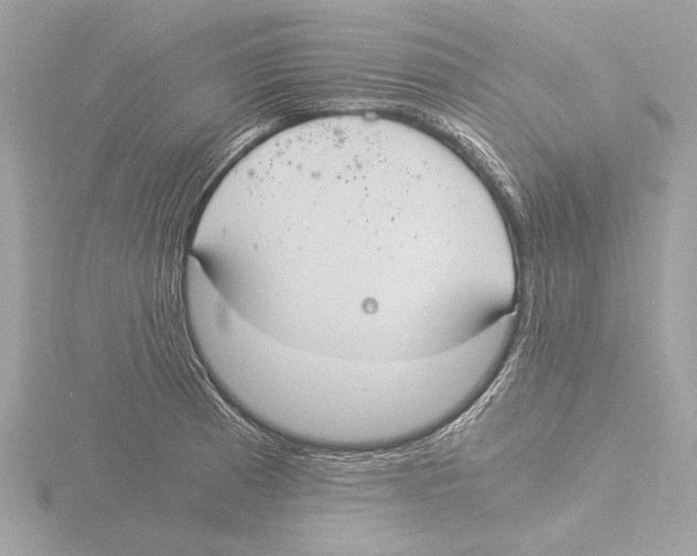 X0000116021185200912181143