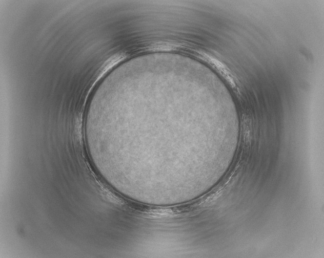 X0000116021186200912181143