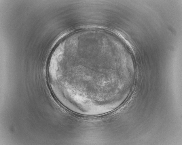 X0000116021189200912181143