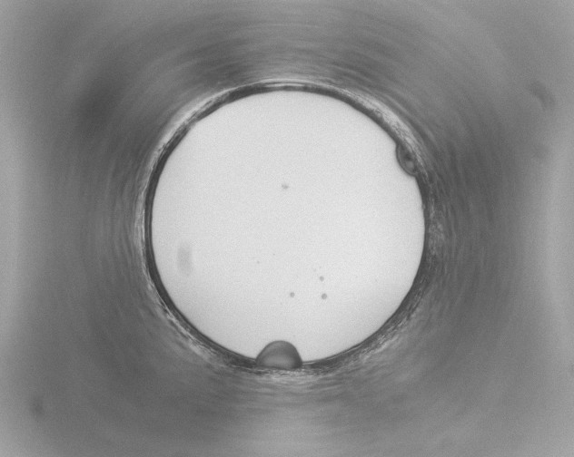 X0000116021191200912181143