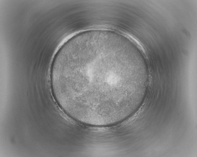 X0000116021192200912181143