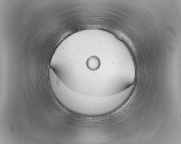 X0000116021193200912181143