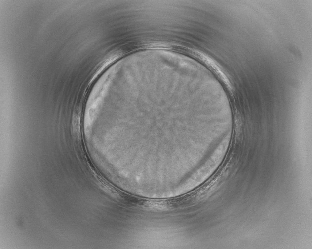 X0000116021194200912181143