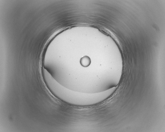 X0000116021195200912181143