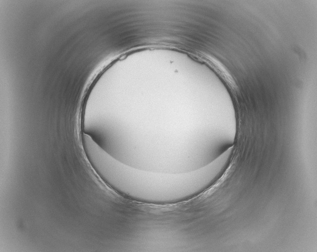 X0000116021196200912181143