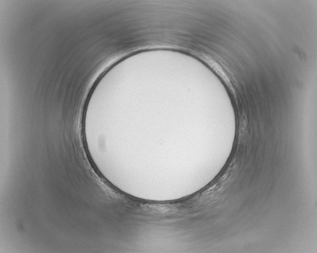 X0000116021197200912181143